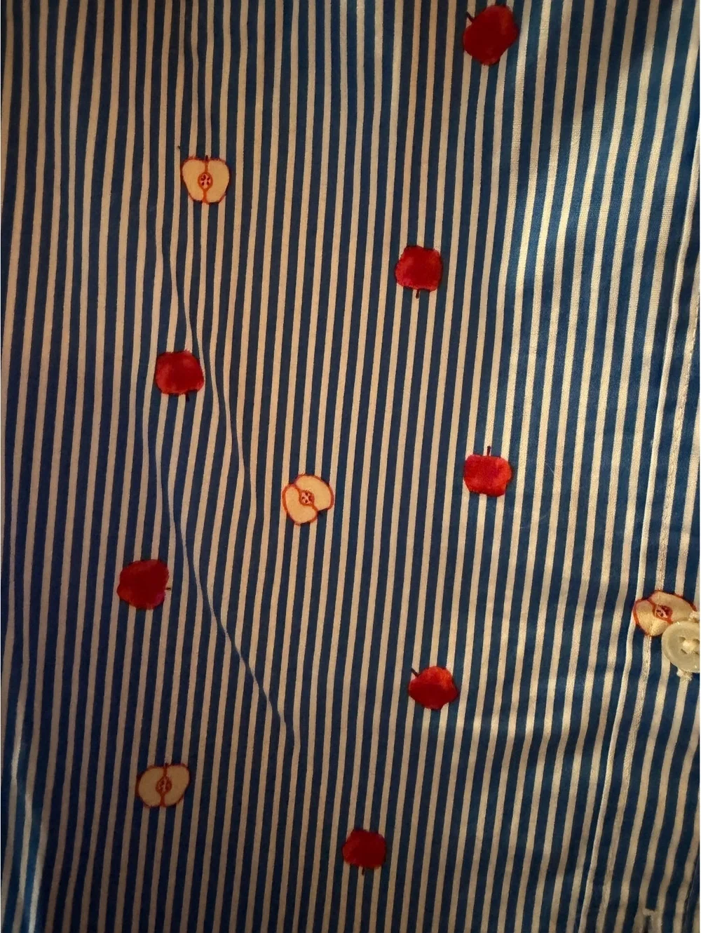 J.crew  Apples and Stripes Women’s Button Down Shirt size Small new